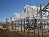 Multi-Span Polycarbonaat Kas Met Hydroponisch Systeem Nieuw Ontwerp Goot Verbonden Groot Formaat Voor Rozenbloemen Planten