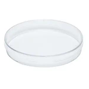 Culture Petri Dishes Lab Disposable Transparent Plastic Petri Dishes 100mm 90mm Sterile Culture Petri Dish 90x15mm