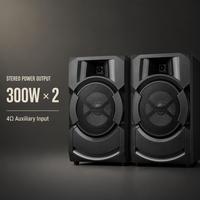 Système audio DJ sans fil 300W x 2 pour enceintes colonne, idéal pour bars, cafés, ordinateurs et téléphones portables avec lecture USB