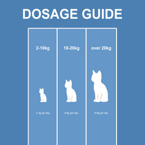 <span class=keywords><strong>Poudre</strong></span> de Taurine pour Chats 200g Enzymes Digestives Soins Cardiaques et Immunitaires Acides Aminés Marque Privée Fabricant Direct Usine Vrac OEM - Product Image 5