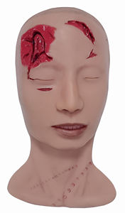 Modelo anatómico forense de extremidades inferiores y piernas para fines médicos y médicos - Product Image 6