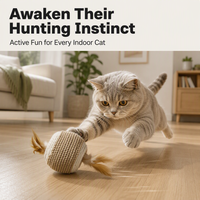 Lots de jouets écologiques en sisal, jouets interactifs résistants aux morsures et aux griffures pour chatons
