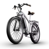 WindChaser E-Bike-Kit mit Akku 48V15Ah Lithium-Batterie DualDrive 1000W Hydraulische Scheibenbremsen 55km Reichweite mit Bicicleta Eltrica