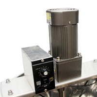 Machine de remplissage de pâte de tomate semi-automatique avec doseur pneumatique et trémie agitée pour ketchup, sauce pizza, pâte de piment et confiture