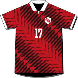 2025-2026 Camiseta de fútbol de poliéster personalizable Retro para hombre Servicio OEM elegante Uniforme de equipo nacional de corte superior Nombre - Product Image 3