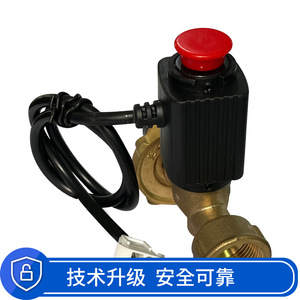 Yd-Jy-201 Gas Cylinder Solenoid Shut Off Valve Lpg 1.6Mpa Dc9-12V Brass Body For Liquefied Petroleum Gas - Product Image 3
