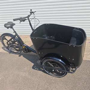 Vélo cargo électrique pour adultes et famille pour transporter des marchandises pour enfants et animaux de compagnie pour faire du shopping, pique-nique, pêche, voyage et autres activités de plein air - Product Image 1