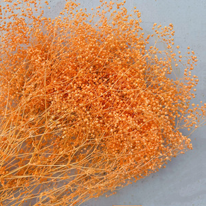 Venta al por mayor de fábrica: Gypsophila Million Star preservada, flor pequeña para ramo nupcial bohemio, relleno floral aéreo - Product Image 2