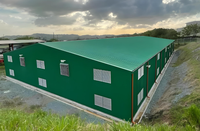 Estructura de Acero Ligero para Granja Avícola, Capacidad para 20000 Pollos, Servicios de Soldadura/Doblado/Corte, Instalación Rápida, 50 Años de Garantía