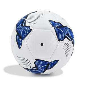 Welstar הסיטונאי מחיר זול הדפסה מותאם אישית 3 גודל 4 גודל 5 pvc אימון רך football - Product Image 2