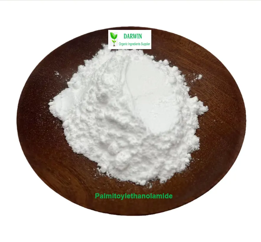 סיטונאי 544-31-0 אבקת פאלמיטוילטנולאמיד 98% 99% PEA אבקת פאלמיטוילטנולאמיד