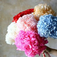 Buket Bunga Kering Hydrangea Kelopak Besar Awet Tahan Lama, Tangkai Tunggal, Asal Cina, Model TLBY007, Produksi Pabrik