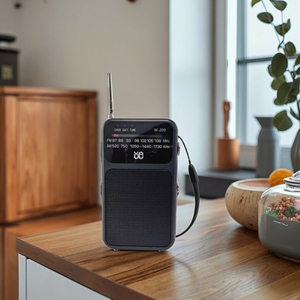 Klasik AM/FM radyo W-209, sabit bir arkadaşı/çift güç modu/topuzu işaretçi ayarlama/özelleştirilebilir logo - Product Image 2