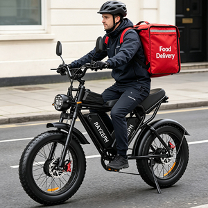 Vélo Électrique de Livraison Alimentaire en Gros 52V40Ah Double Batterie Moteur Moyeu Enduro VTT Rapide Frein à Disque Hydraulique E-Bike - Product Image 1