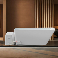 Bain froid de type split, refroidisseur ultra-puissant, bain de glace en acrylique, lumière LED personnalisable pour spa, fitness, récupération, traitement à l'eau froide