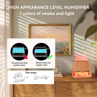 Diffuseur d'humidificateur en pierre de sel de l'Himalaya USB avec lumière changeante de couleur 260ML Générateur de brume fraîche pour la peau sèche Chambre de bébé Bureau