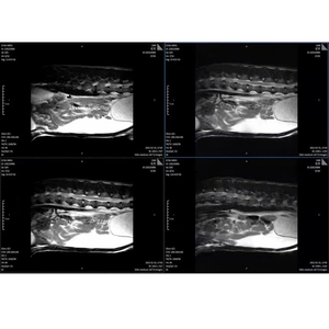 Thú Y Thiết Bị Thiết Bị Y Tế Vet 128 64 32 Slice Thú Y Y Tế <span class=keywords><strong>CT</strong></span> Máy Quét - Product Image 4