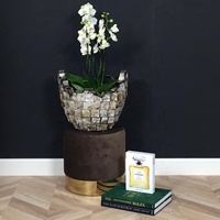 Vase en nacre et fibre de verre Pays-Bas Vase d'intérieur Pot de fleurs Vase