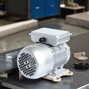Venta Directa de Fábrica: Motor de Inducción Monofásico de la Serie YL de 3.7kw 5hp 220v 50hz con Capacitor de Doble Valor - Product Image 2