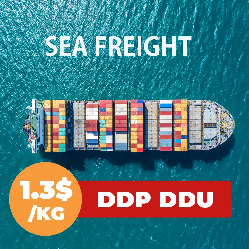 Top 1 ddp sea freight forwarder to USA Mexico Portugal Romania Netherlands Europe DDP DDU service