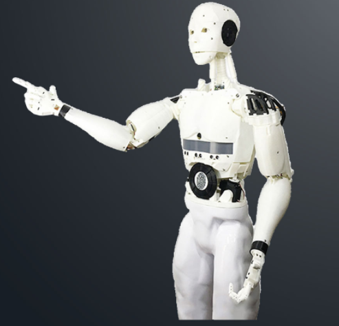 Humanoid bionic robot / skeletal robot as educational kit for universities steam