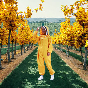 Traje de Apicultura Profesional Nuevo, Equipo de Protección Anti-Abejas de Acero Inoxidable y Plástico, 2 kg, 1 Año de Garantía - Product Image 3