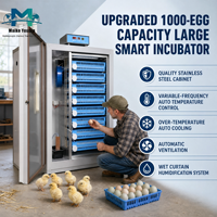 Incubateur automatique de type armoire en acier inoxydable, capacité 1000 œufs, plateau rotatif à 360°, double alimentation (AC220V/12V), intelligent, OEM/ODM