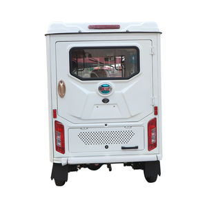 אופנוע אופנוע אופניים נוסעים תלת-אופן מונע דלק עם גוף סגור - Product Image 5