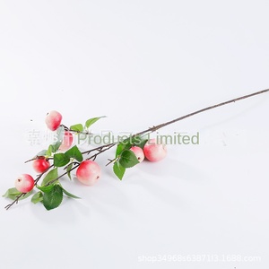 Tùy Chỉnh Nhỏ Của Apple Sáng Tạo Trang Trí Nội Thất Giáng Sinh Chụp Đạo Cụ Mô Phỏng Trái Cây Táo Hòa Bình Trái Cây Nhân Tạo Trái Cây - Product Image 6