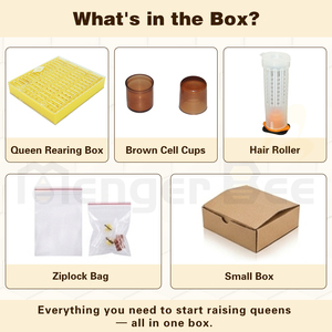 ชุดอุปกรณ์เลี้ยงผึ้งขายส่งใหม่ ระบบเลี้ยงราชินี ตะแกรงรังผึ้งและกรงป้องกันรังผึ้ง 10 เฟรม - Product Image 3