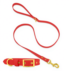 Laisse et collier pour chien légers, confortables et luxueux, en PVC, avec boucle dorée, à dégagement rapide, personnalisables, robustes, durables et tendance - Product Image 2