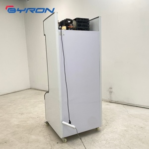 Refrigerador Comercial de Doble Temperatura para Tiendas de Conveniencia, Refrigerador Superior y Congelador Inferior, Refrigerador con Puerta de Vidrio para Exhibición en Tiendas Minoristas - Product Image 6