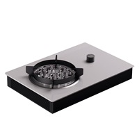 Cuisinière à allumage électrique plasma avec surface en verre, portable, encastrable/de sur pied, 1300 W, flamme nue 3000 W, sans gaz