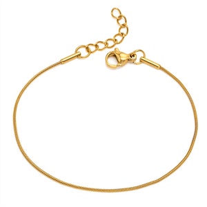Bracelet Chaîne Serpent en Acier Inoxydable Plaqué Or Style Ins Simple et Tendance - Product Image 1