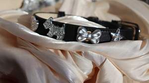 Nuevo <span class=keywords><strong>collar</strong></span> de cuero de lujo para mascotas, desmontable y reemplazable, con accesorios, <span class=keywords><strong>collar</strong></span> personalizable para mascotas, artículos para mascotas - Product Image 4