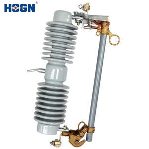 <span class=keywords><strong>HOGN</strong></span> personnalisé de haute qualité en plein air fusible haute tension découpé de nombreux types disponibles - Product Image 3