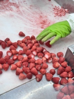 Fabrieksgroothandel 100% natuurlijke gevriesdroogde hele aardbeien FD knapperig fruit zonder toevoegingen bulk levering