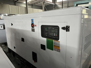 <span class=keywords><strong>Idéal</strong></span> pour les petits chantiers de construction et les activités de plein air, <span class=keywords><strong>générateur</strong></span> 16KW 50Hz assurant une alimentation électrique ininterrompue - Product Image 4