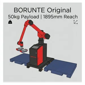 Estación de Trabajo Robótica de Paletización Automática BORUNTE BRTMD195001A de 50 kg con Eje de Elevación de 0-500 mm - Product Image 6