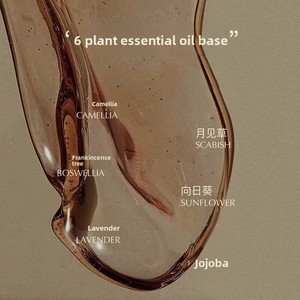 <span class=keywords><strong>Eau</strong></span> <span class=keywords><strong>de</strong></span> Parfum Longue Durée Wild and Free, Parfum Feuille Verte, Format Standard, Huile Essentielle Unisexe pour Hommes et Femmes - Product Image 5
