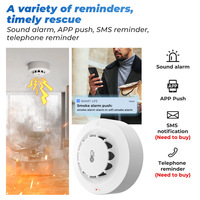 Thermomètre hygromètre Tuya, détecteur d'alarme de fumée, capteur de fumée GooGoo, capteur intelligent WiFi pour la maison, utilisation en intérieur