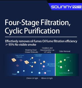 מטהר אדי שמן יצרן OEM ODM ישירות מהמפעל 32000 CMH מסנן ESP מפוח לאוורור מטבח מסחרי/בית ספרי - Product Image 5