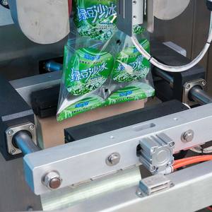 רציף ואקום תבואה ואגוזים חריף פריטים להאכיל קומפוסט פחם תיק אריזה מכונה - Product Image 5