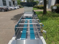 Machine en pot de w, plateau pour graines de tomate, semis automatique