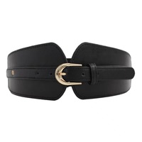 Breiter Gürtel Frauen Nadel schnalle Dekoratives Kleid Elastic PU Elastic Waist Wrap Mode Gürtel Taille Wrap Frauen
