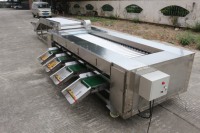 Sorteermachine voor groenten en fruit: aardappel, tomaat, knoflook, chilipeper, ui, wortel, komkommer, champignons.
