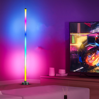 Lampes LED collées à piles rechargeables Colorful Pickup Rhythm Lamp for Hotel Home Ball DJ Bar Atmosphere Decorating Lights