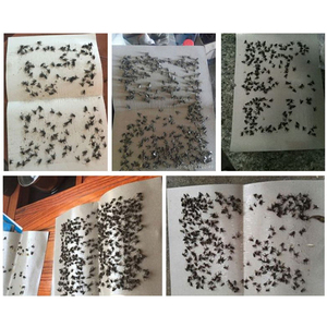 Piège à colle forte de haute qualité antiparasitaire cafards mouche panneau de piège à colle - Product Image 6