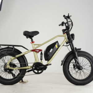 จักรยานไฟฟ้า Eu Stock Eahora Terra Custom Power 100ow จัดส่งรวดเร็ว ยางใหญ่ 20 นิ้ว สำหรับผู้ใหญ่ ขี่ในเมืองและภูเขา - Product Image 1