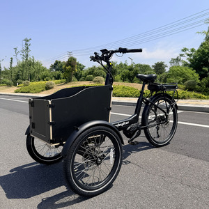 Triciclo Eléctrico de 3 Ruedas con Motor Central de 48v 250w para Personas Mayores/Discapacitadas, Carrocería Abierta, Cuadro de Aleación, 25KM/H, 9 Velocidades, <span class=keywords><strong>Desviador</strong></span> Hidráulico - Product Image 3